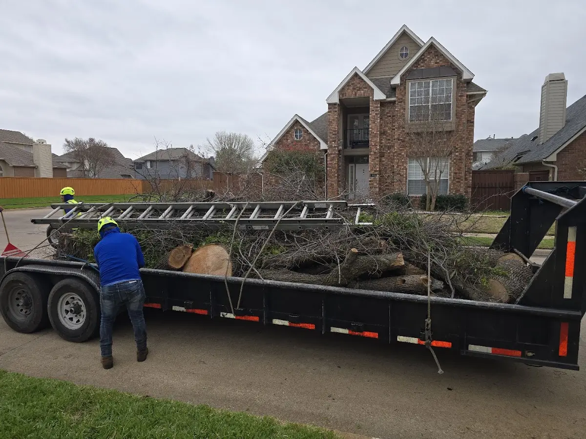 Expert Tree Removal with proper safety equipment in Bluffton
